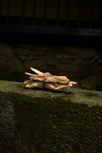 Cargar imagen en el visor de la galería, Palo Santo y Cáñamo