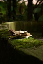 Cargar imagen en el visor de la galería, Palo Santo y Cáñamo